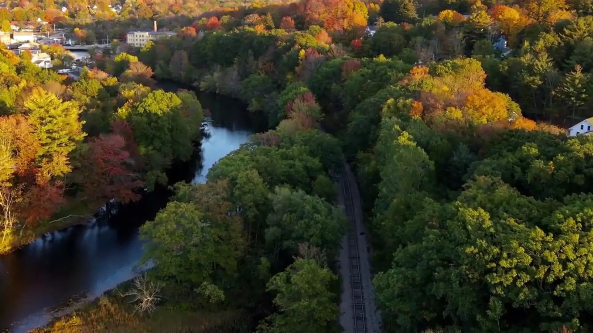 Translation missing: en.sections.video.load_video