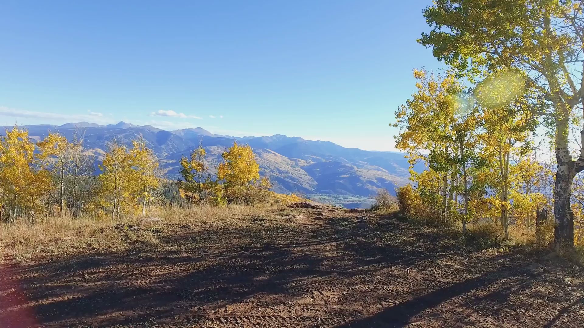 Load video: AeroFocus Imaging &amp; Consumer Electronics Gear